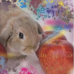 Paradeis : The Other Side of Paradeis